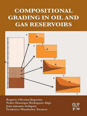 cover image of Compositional Grading in Oil and Gas Reservoirs